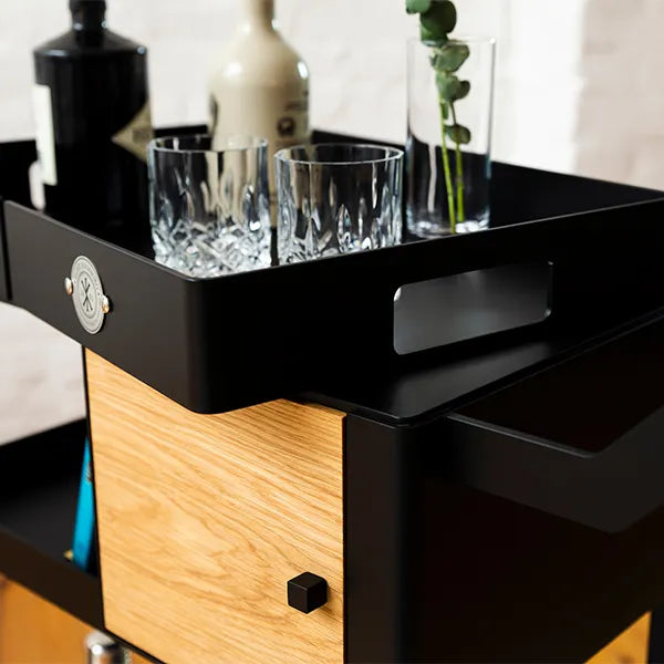 Alsterlinie Barwagen