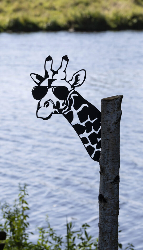 Giraffe um die Ecke guckend