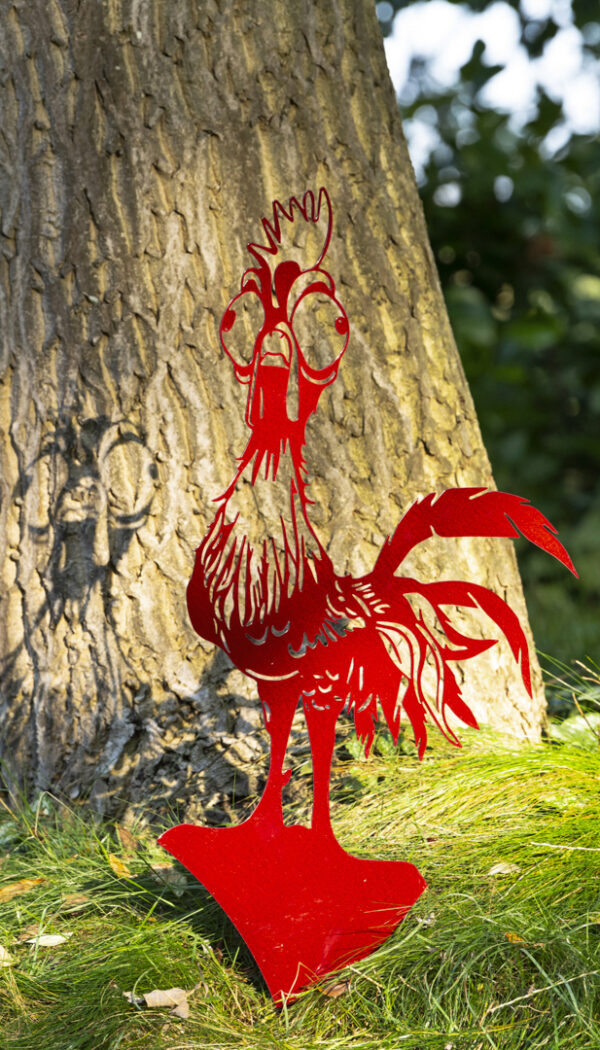 Huhn Erde Rot